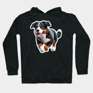 Appenzeller Sennenhund Hoodie